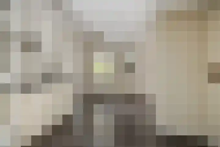 Eekstraat 27 Deurne thumbnail 23