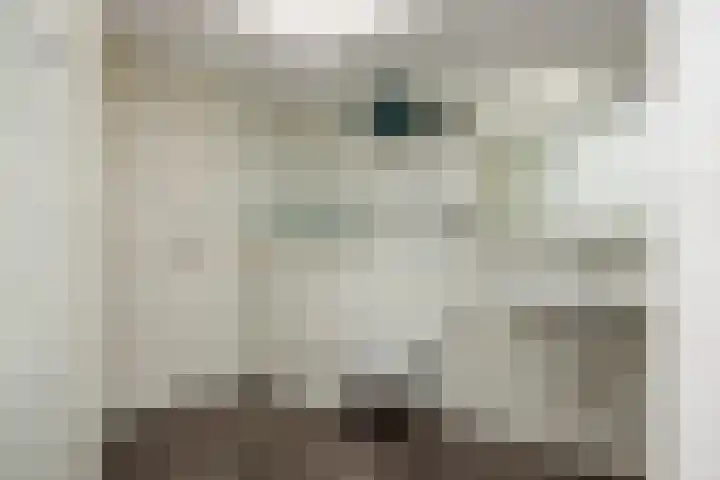 Eekstraat 27 Deurne thumbnail 28