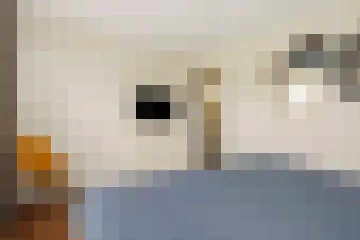 Eekstraat 27 Deurne thumbnail 32
