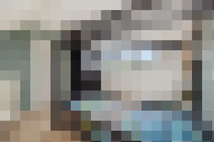 Eekstraat 27 Deurne thumbnail 38