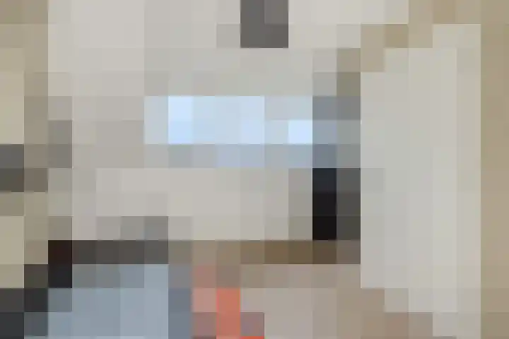 Eekstraat 27 Deurne thumbnail 39