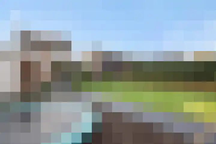 Eekstraat 27 Deurne thumbnail 42