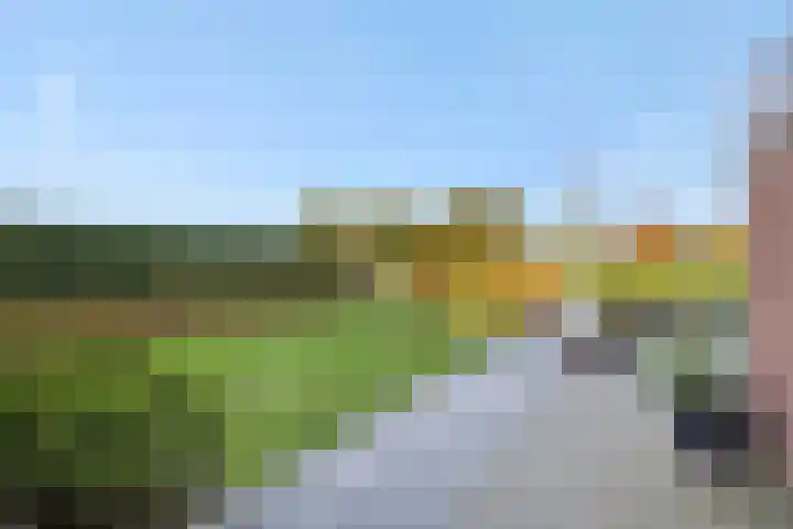 Eekstraat 27 Deurne thumbnail 45