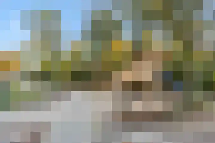 Eekstraat 27 Deurne thumbnail 49