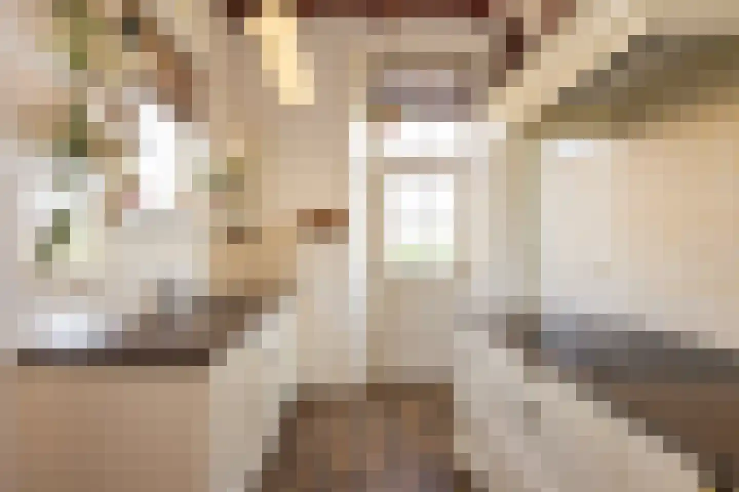 Eekstraat 3 Steenderen thumbnail 16