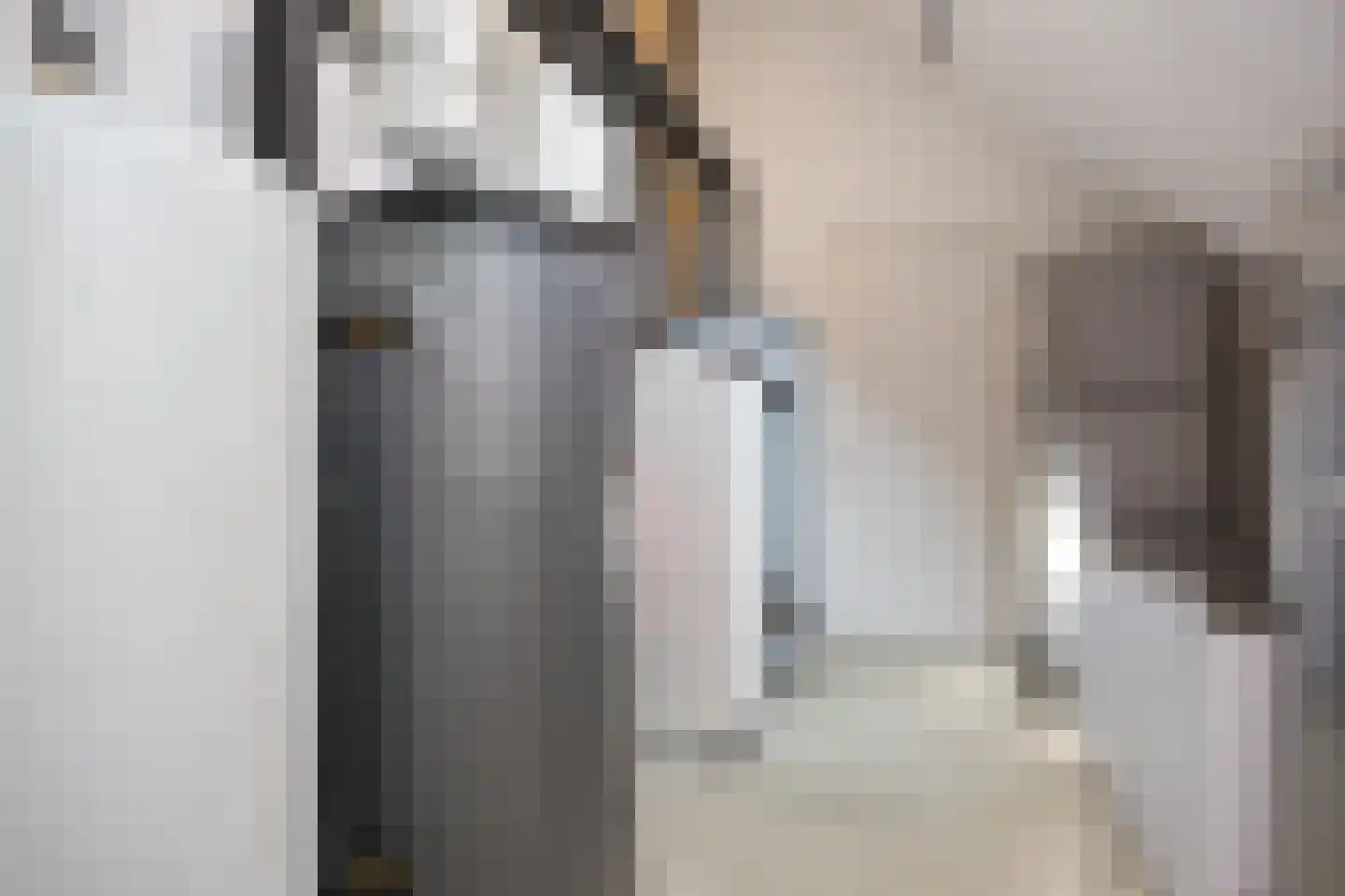 Eekstraat 3 Steenderen thumbnail 21
