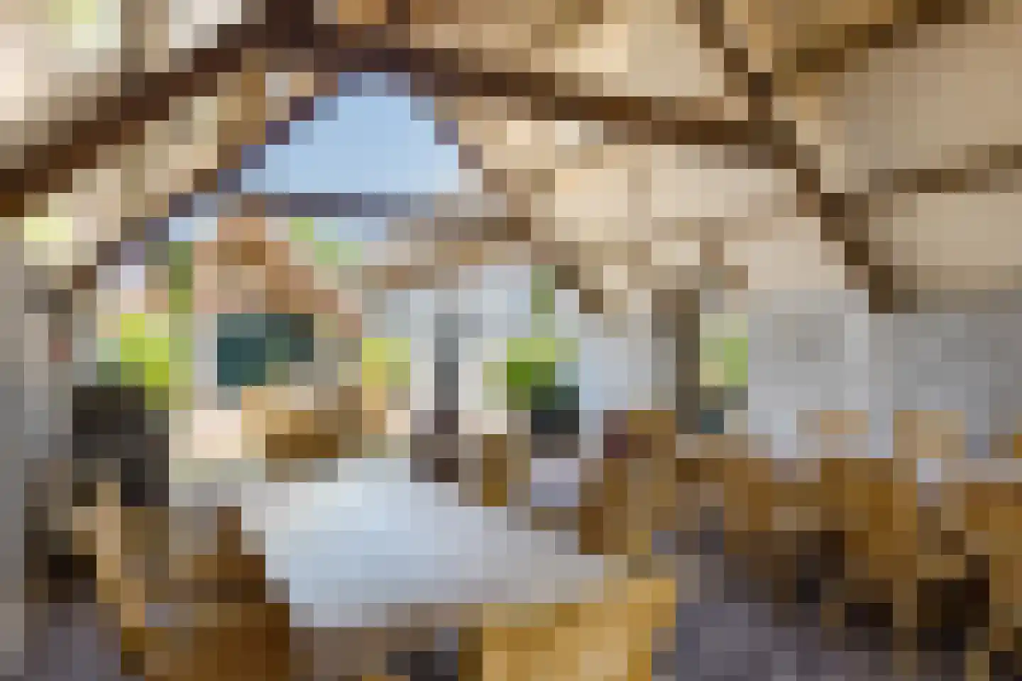 Eekstraat 3 Steenderen thumbnail 33
