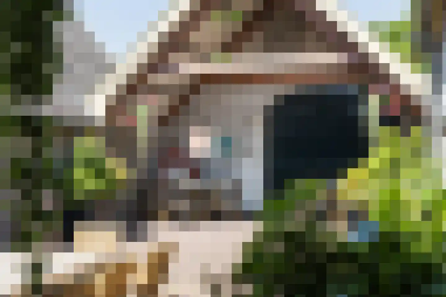 Eekstraat 3 Steenderen thumbnail 35