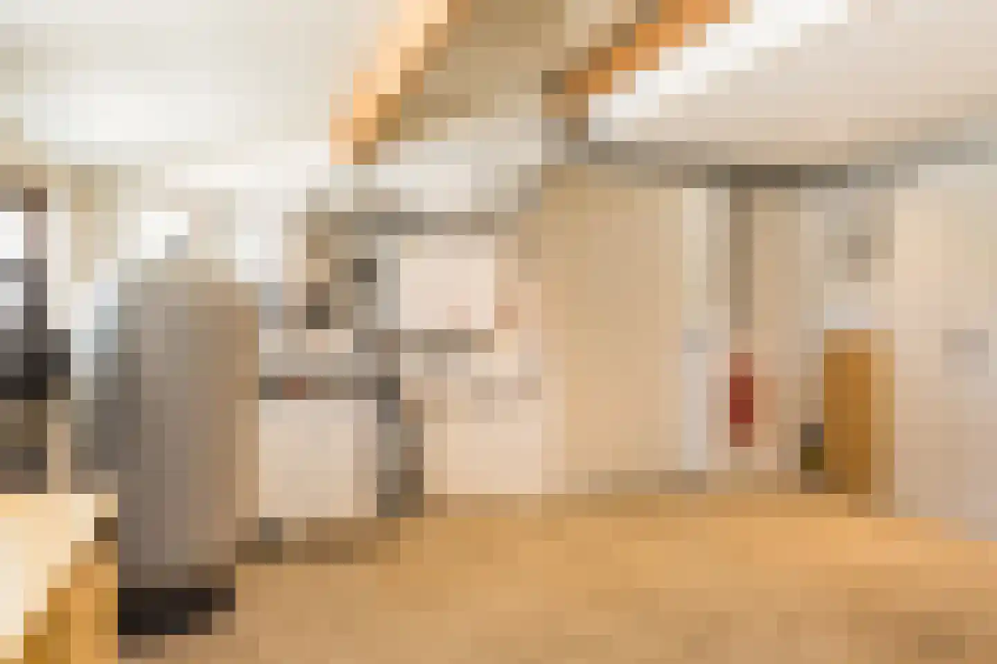 Eekstraat 3 Steenderen thumbnail 51