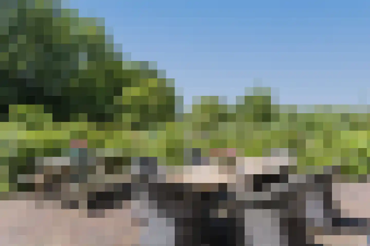 Eekstraat 3 Steenderen thumbnail 57