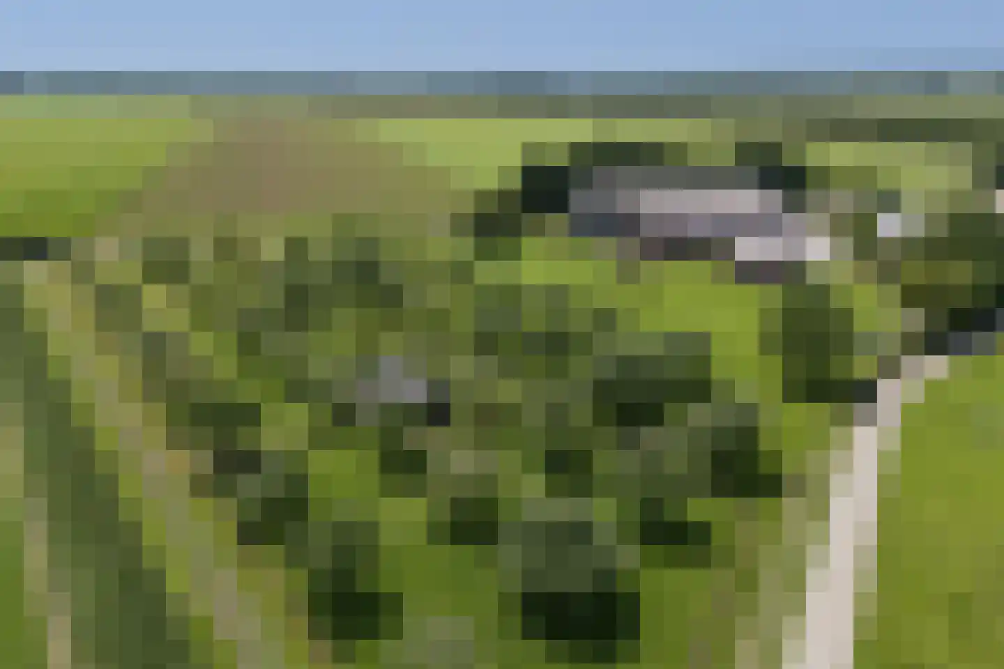 Eekstraat 3 Steenderen thumbnail 58
