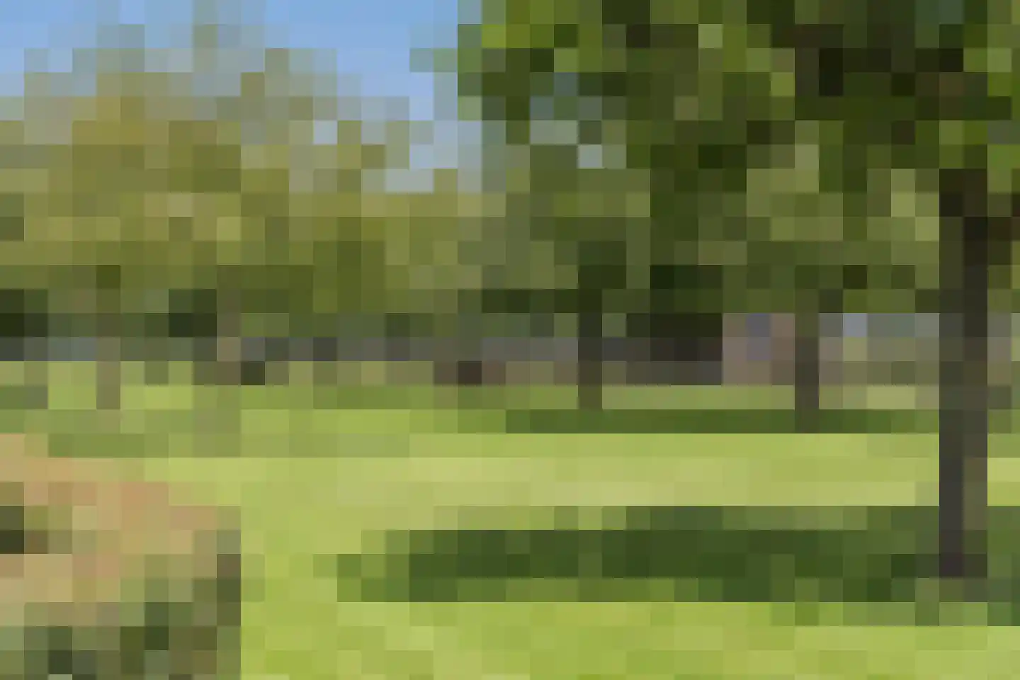 Eekstraat 3 Steenderen thumbnail 60