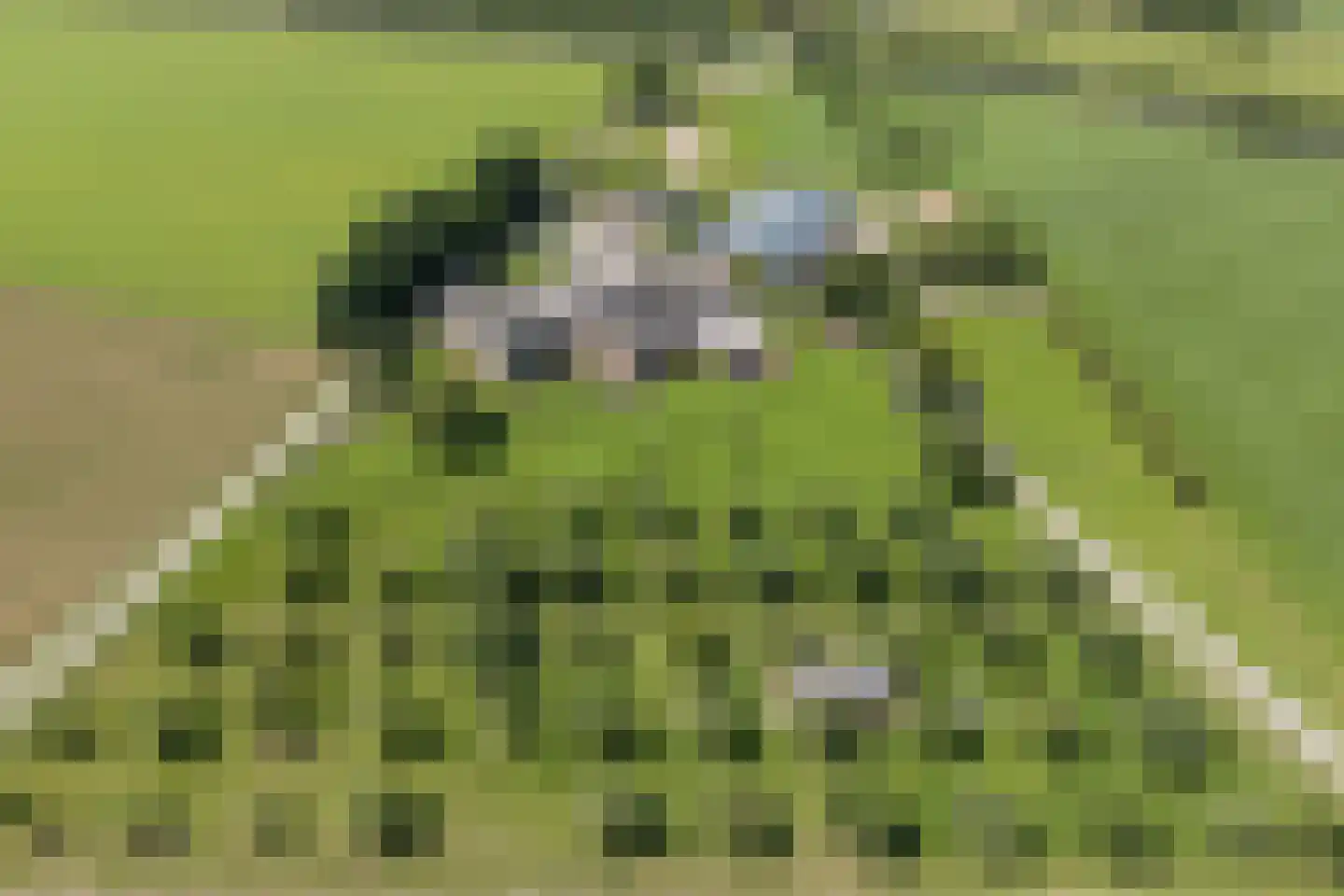 Eekstraat 3 Steenderen thumbnail 63