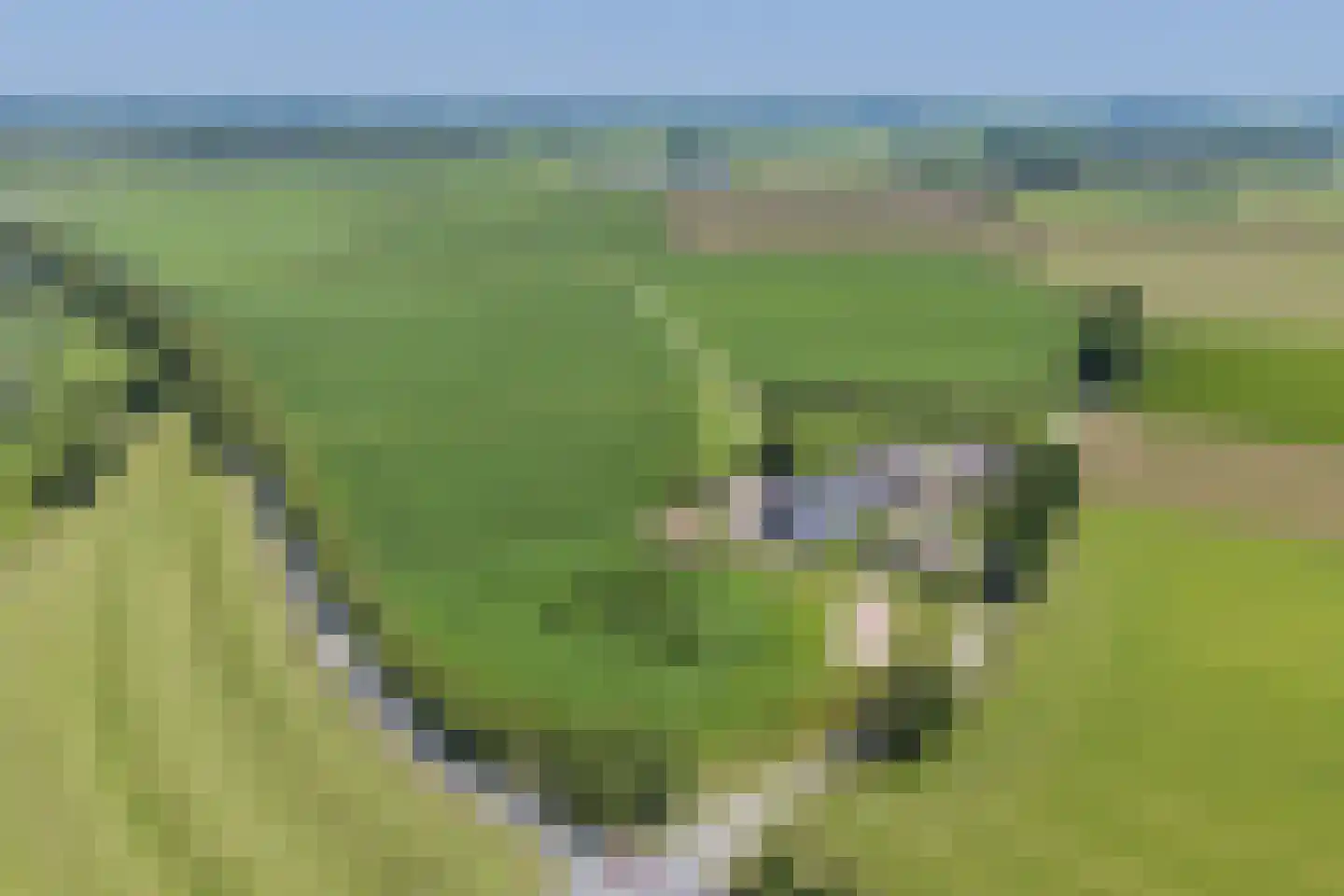 Eekstraat 3 Steenderen thumbnail 73