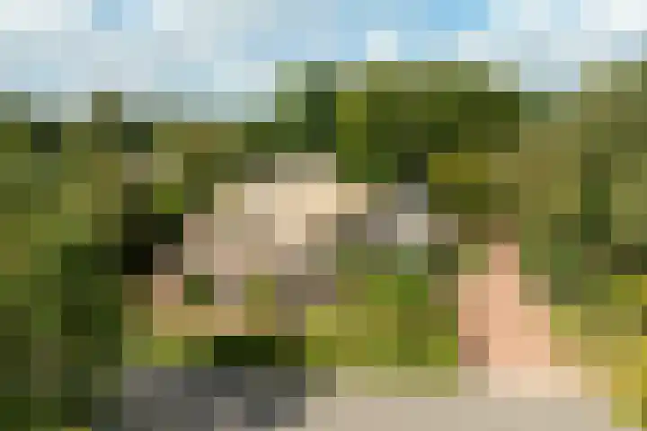 Eekterweg 25 Oosterwolde Gld thumbnail 10