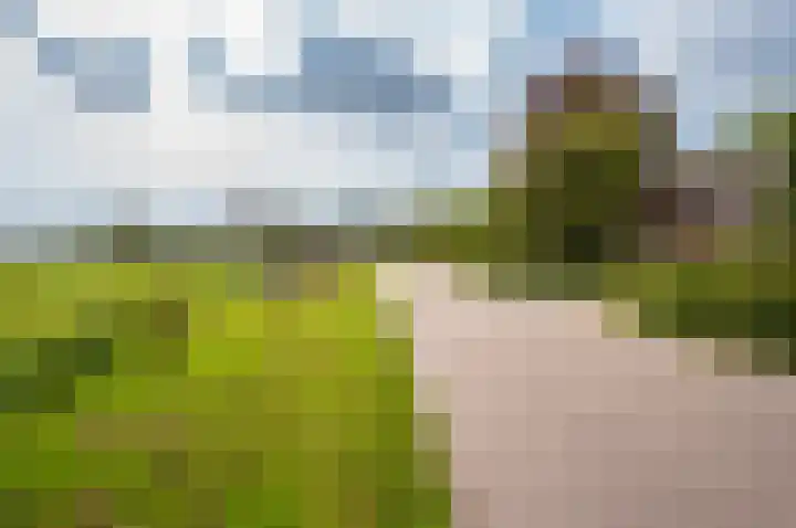 Eekterweg 25 Oosterwolde Gld thumbnail 100