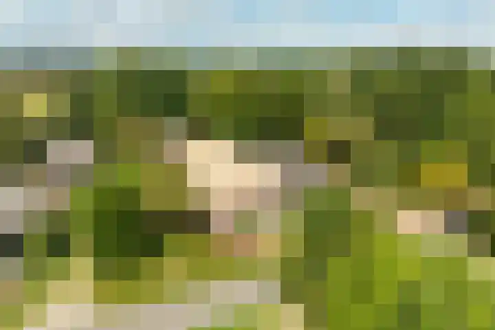 Eekterweg 25 Oosterwolde Gld thumbnail 101