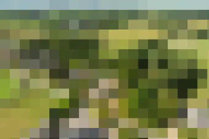 Eekterweg 25 Oosterwolde Gld thumbnail 103