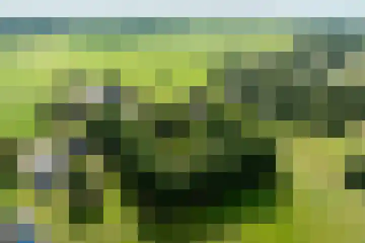 Eekterweg 25 Oosterwolde Gld thumbnail 104