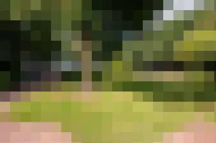 Eekterweg 25 Oosterwolde Gld thumbnail 11