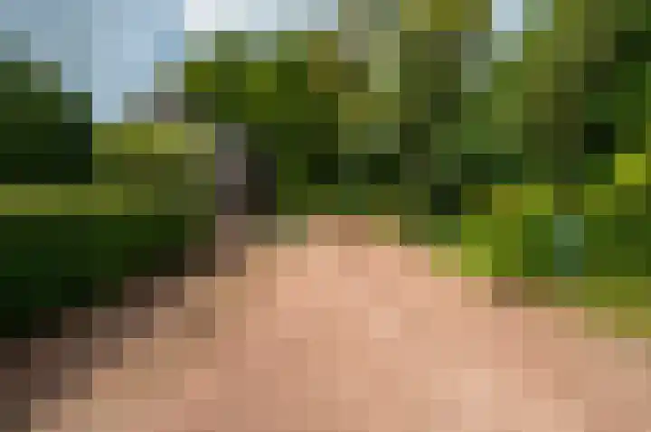 Eekterweg 25 Oosterwolde Gld thumbnail 12