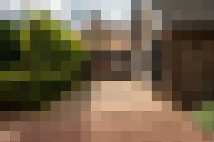 Eekterweg 25 Oosterwolde Gld thumbnail 13
