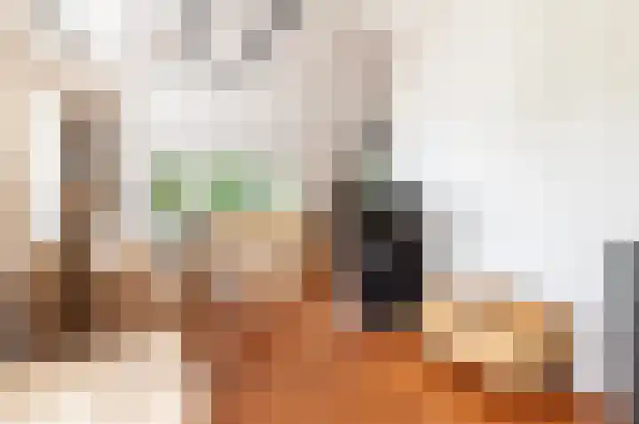 Eekterweg 25 Oosterwolde Gld thumbnail 34