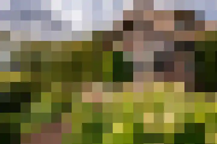 Eekterweg 25 Oosterwolde Gld thumbnail 4