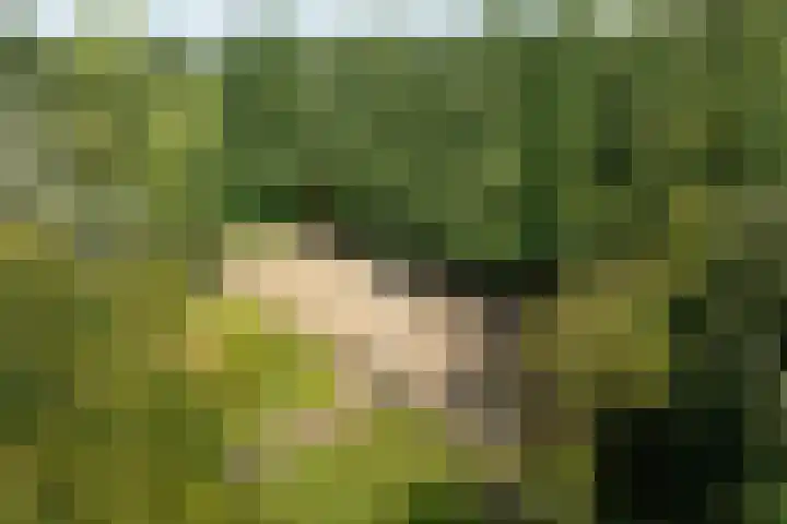 Eekterweg 25 Oosterwolde Gld thumbnail 6