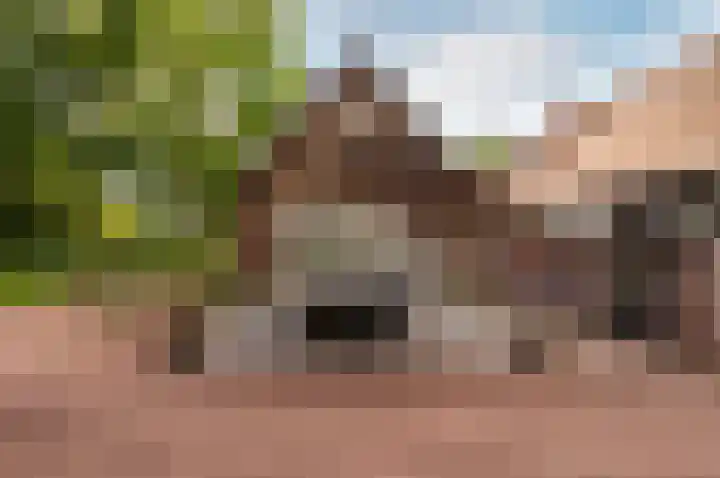 Eekterweg 25 Oosterwolde Gld thumbnail 76