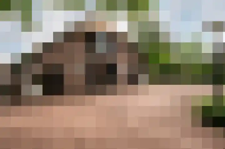 Eekterweg 25 Oosterwolde Gld thumbnail 78