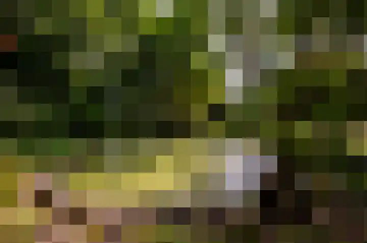 Eekterweg 25 Oosterwolde Gld thumbnail 8