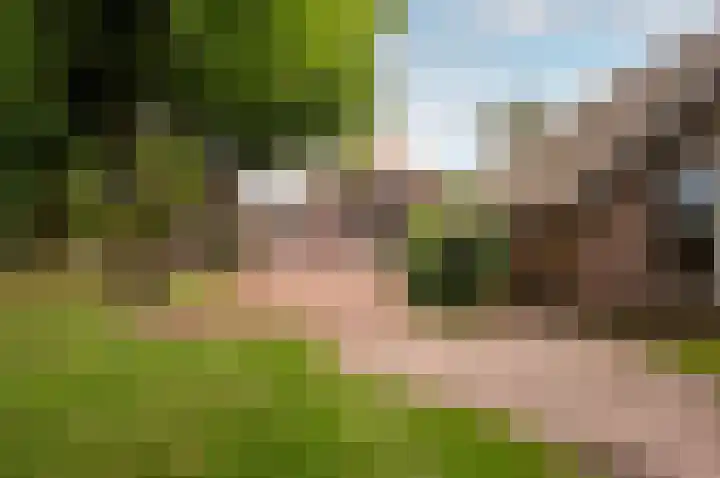 Eekterweg 25 Oosterwolde Gld thumbnail 82