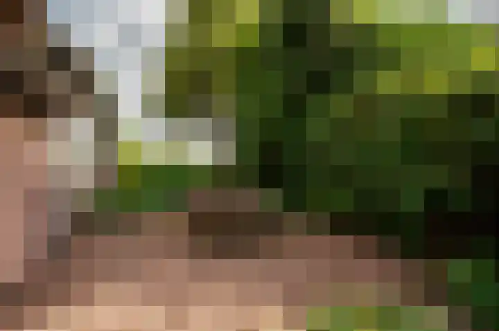 Eekterweg 25 Oosterwolde Gld thumbnail 85