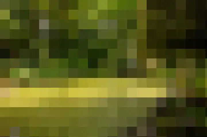 Eekterweg 25 Oosterwolde Gld thumbnail 86