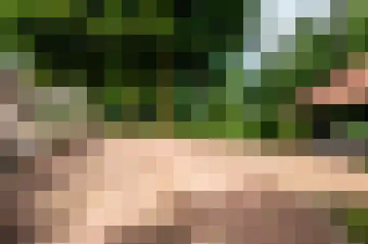 Eekterweg 25 Oosterwolde Gld thumbnail 88