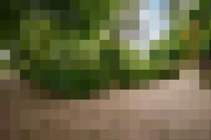Eekterweg 25 Oosterwolde Gld thumbnail 89