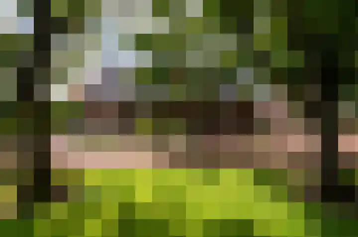 Eekterweg 25 Oosterwolde Gld thumbnail 9