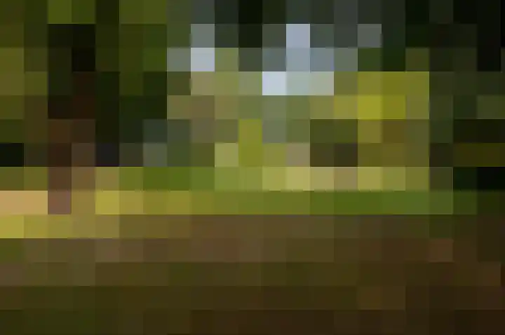 Eekterweg 25 Oosterwolde Gld thumbnail 90