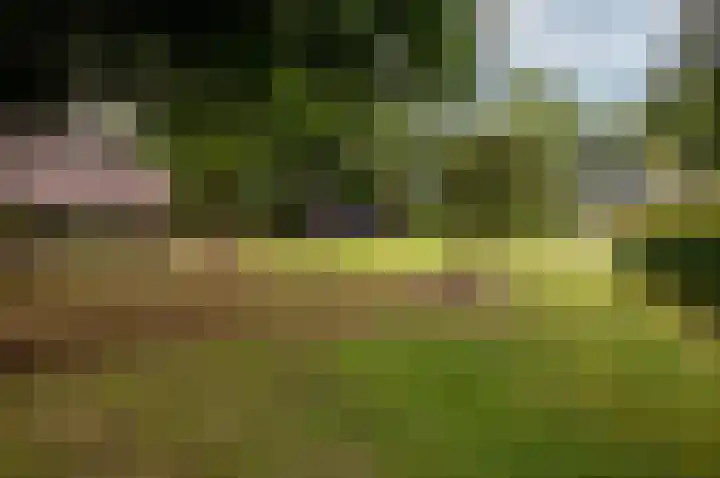 Eekterweg 25 Oosterwolde Gld thumbnail 91