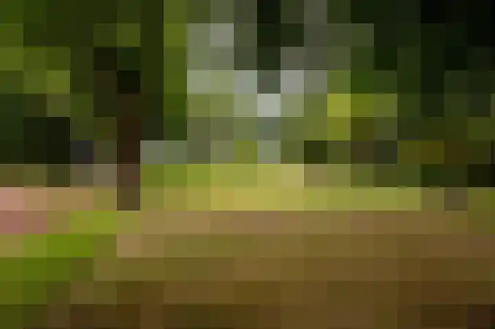 Eekterweg 25 Oosterwolde Gld thumbnail 92
