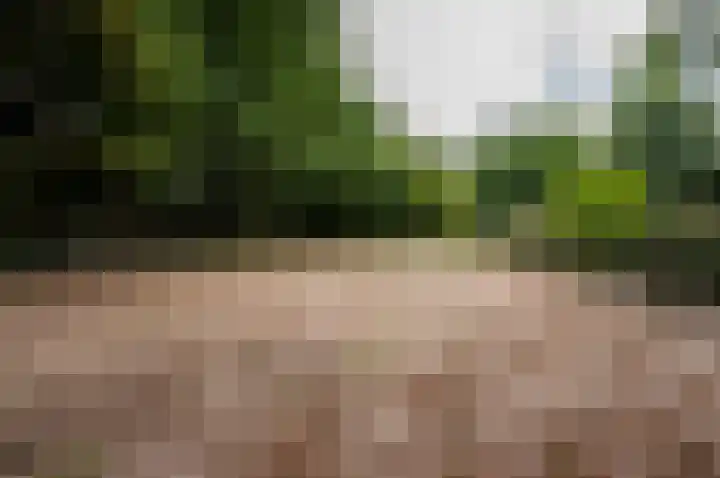 Eekterweg 25 Oosterwolde Gld thumbnail 93