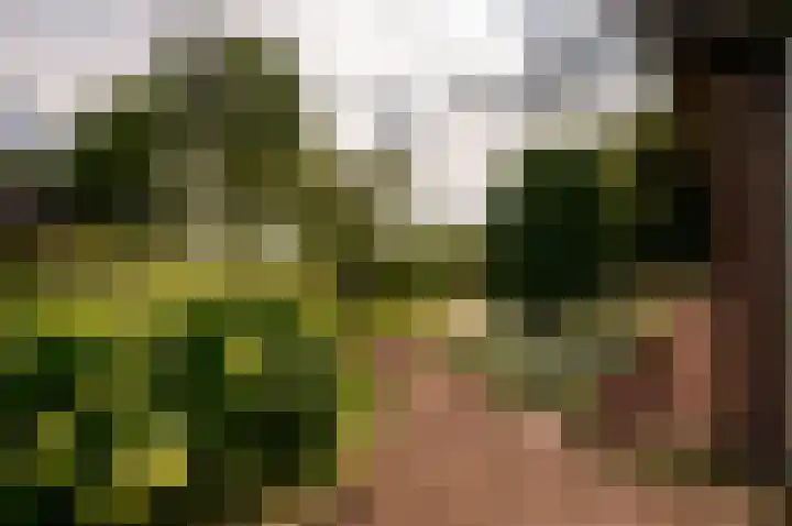 Eekterweg 25 Oosterwolde Gld thumbnail 94