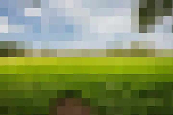 Eekterweg 25 Oosterwolde Gld thumbnail 96