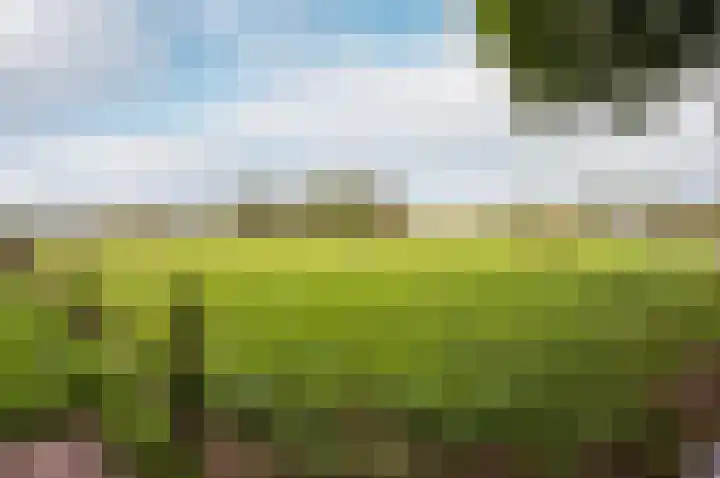 Eekterweg 25 Oosterwolde Gld thumbnail 97