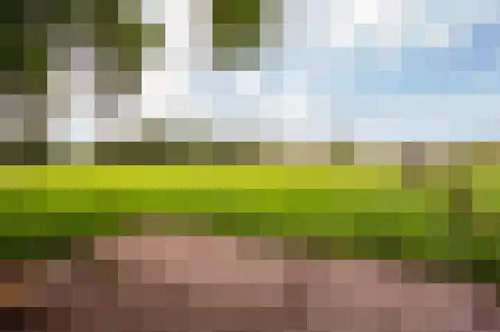 Eekterweg 25 Oosterwolde Gld thumbnail 98