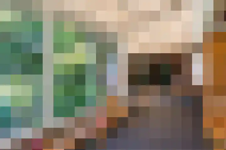 Eekterweg 3 Vaassen thumbnail 23