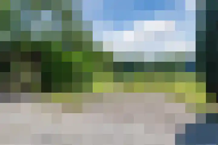 Eekterweg 3 Vaassen thumbnail 26
