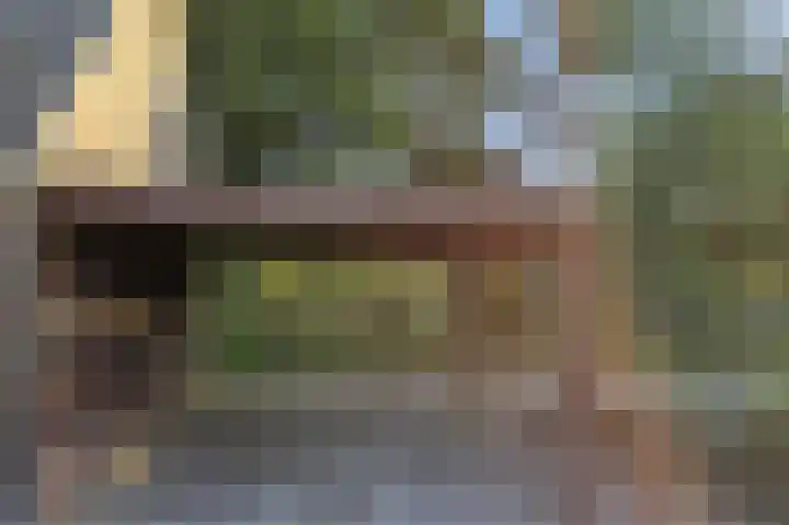 Eekterweg 3 Vaassen thumbnail 31