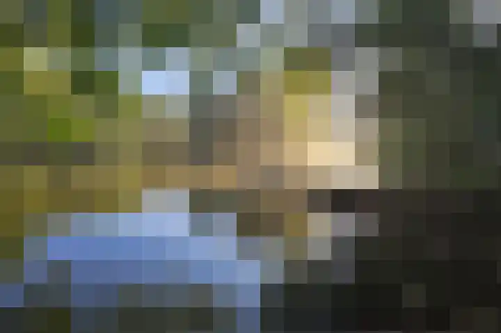 Eekterweg 3 Vaassen thumbnail 32